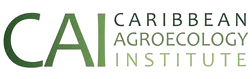 CAI